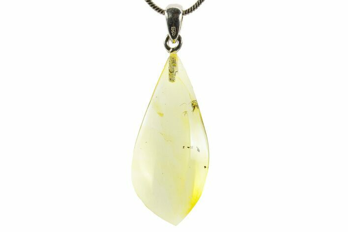 Polished Baltic Amber Pendant (Necklace) - Contains Fly! #367374